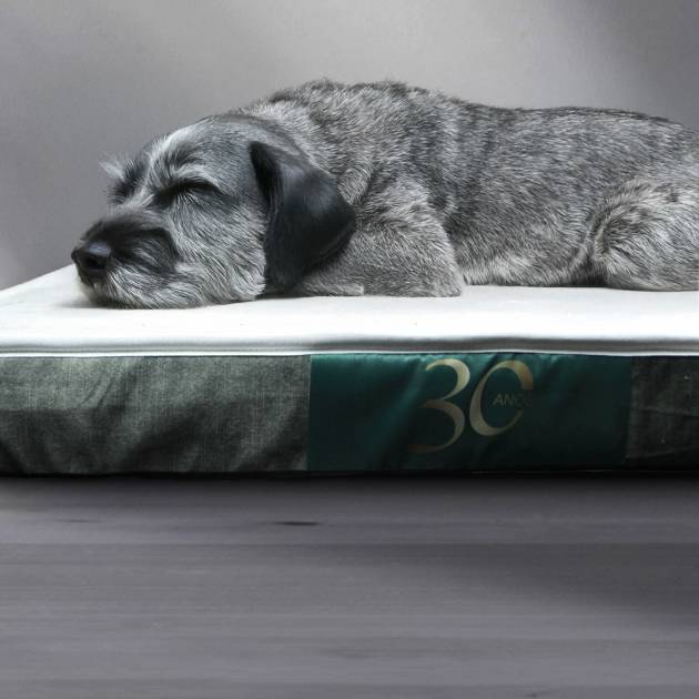 Colchão Seacell para cães - Edição especial