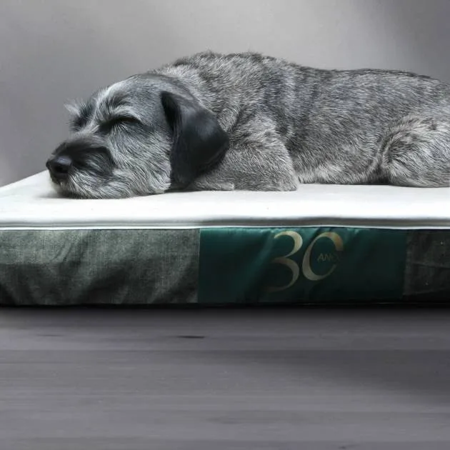 Matelas Seacell pour chiens - Édition spéciale
