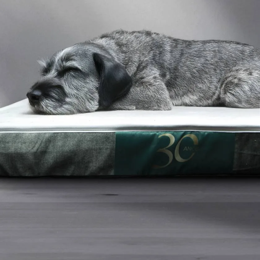Colchão Seacell para cães - Edição especial
