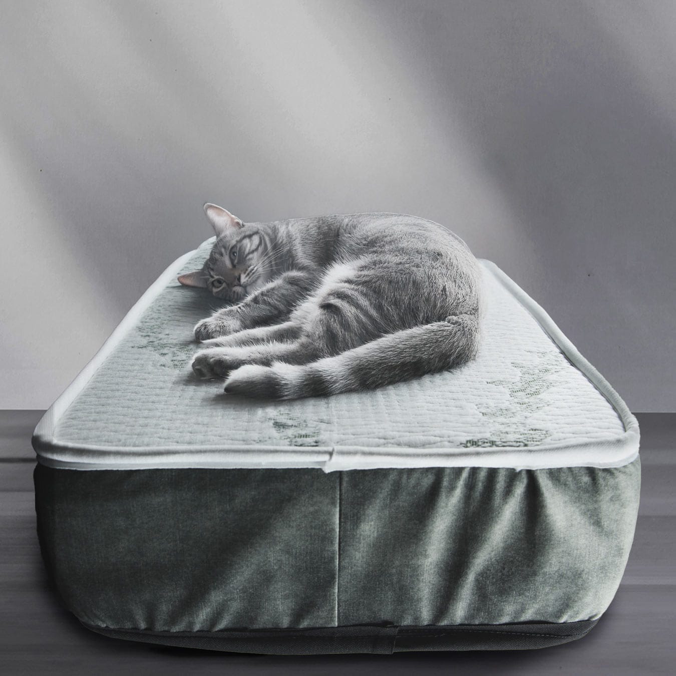 Colchão Seacell para Gatos - Edição Especial - Image 2