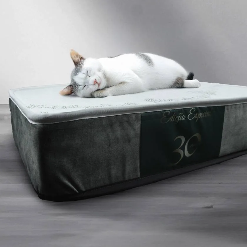 Colchão Seacell para Gatos - Edição Especial