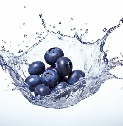 life-wellness-5 life-wellness-5