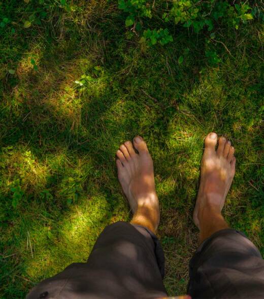 wellbeing-filtrarte-wellness wellbeing-filtrarte-wellness